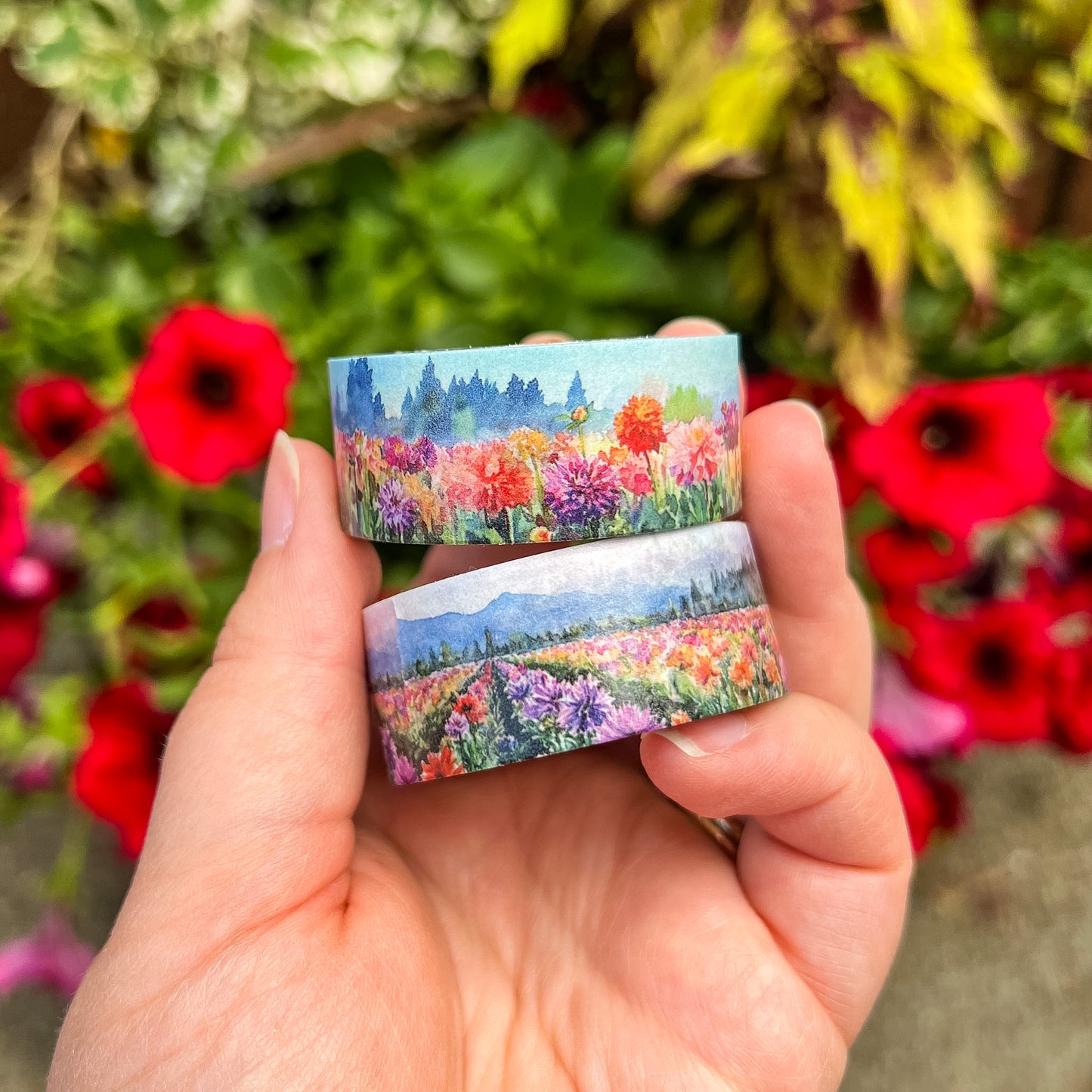 Dahlia Fields & Farm Washi Tape Collection, Size 2cm Wide x 10m Long