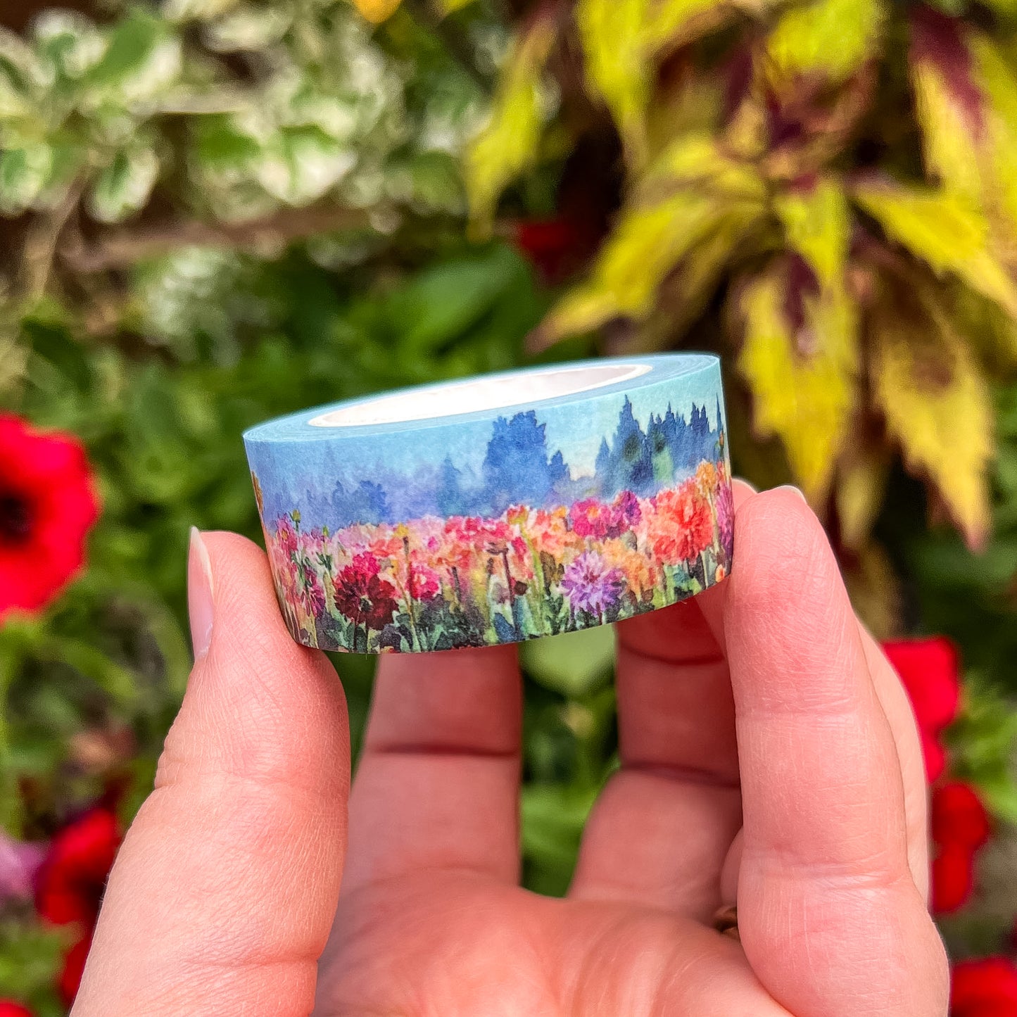 Dahlia Fields & Farm Washi Tape Collection, Size 2cm Wide x 10m Long