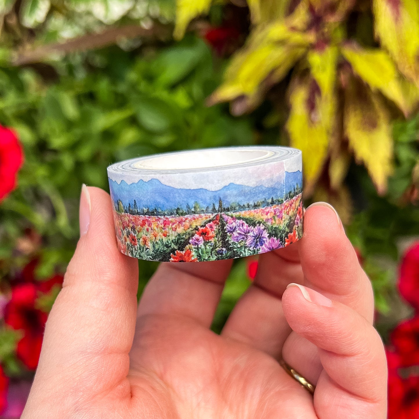 Dahlia Fields & Farm Washi Tape Collection, Size 2cm Wide x 10m Long