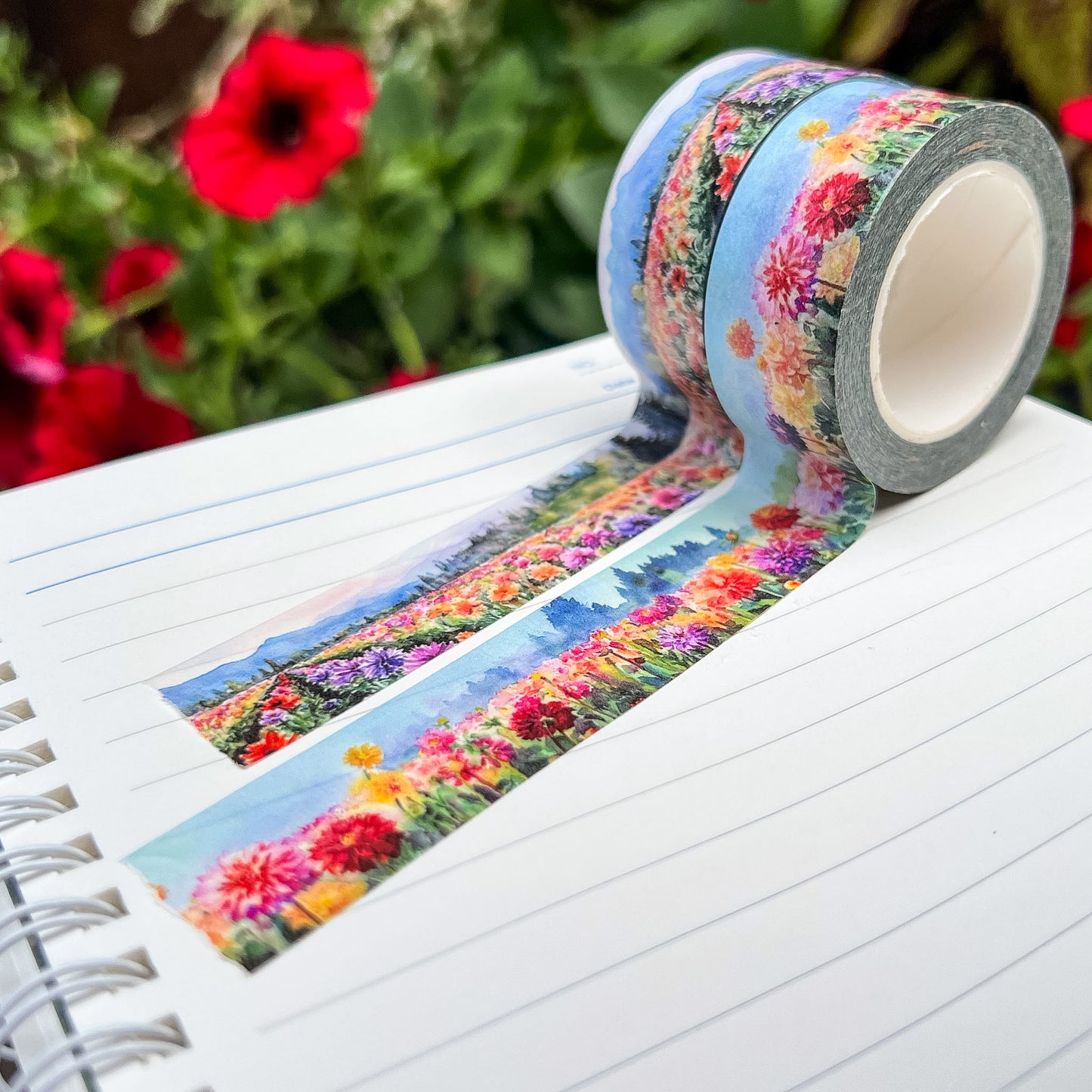 Dahlia Fields & Farm Washi Tape Collection, Size 2cm Wide x 10m Long