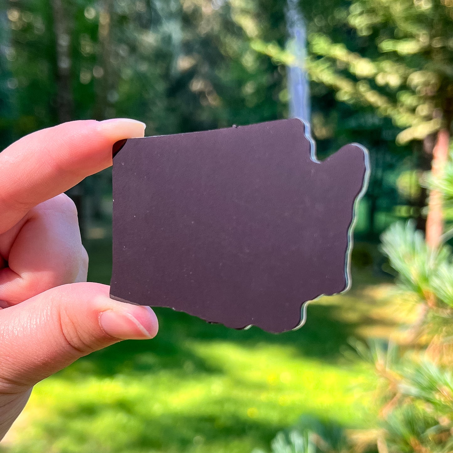 Evergreens of Washington State, 3” Glittering Acrylic Magnet, Watercolor Art Magnet