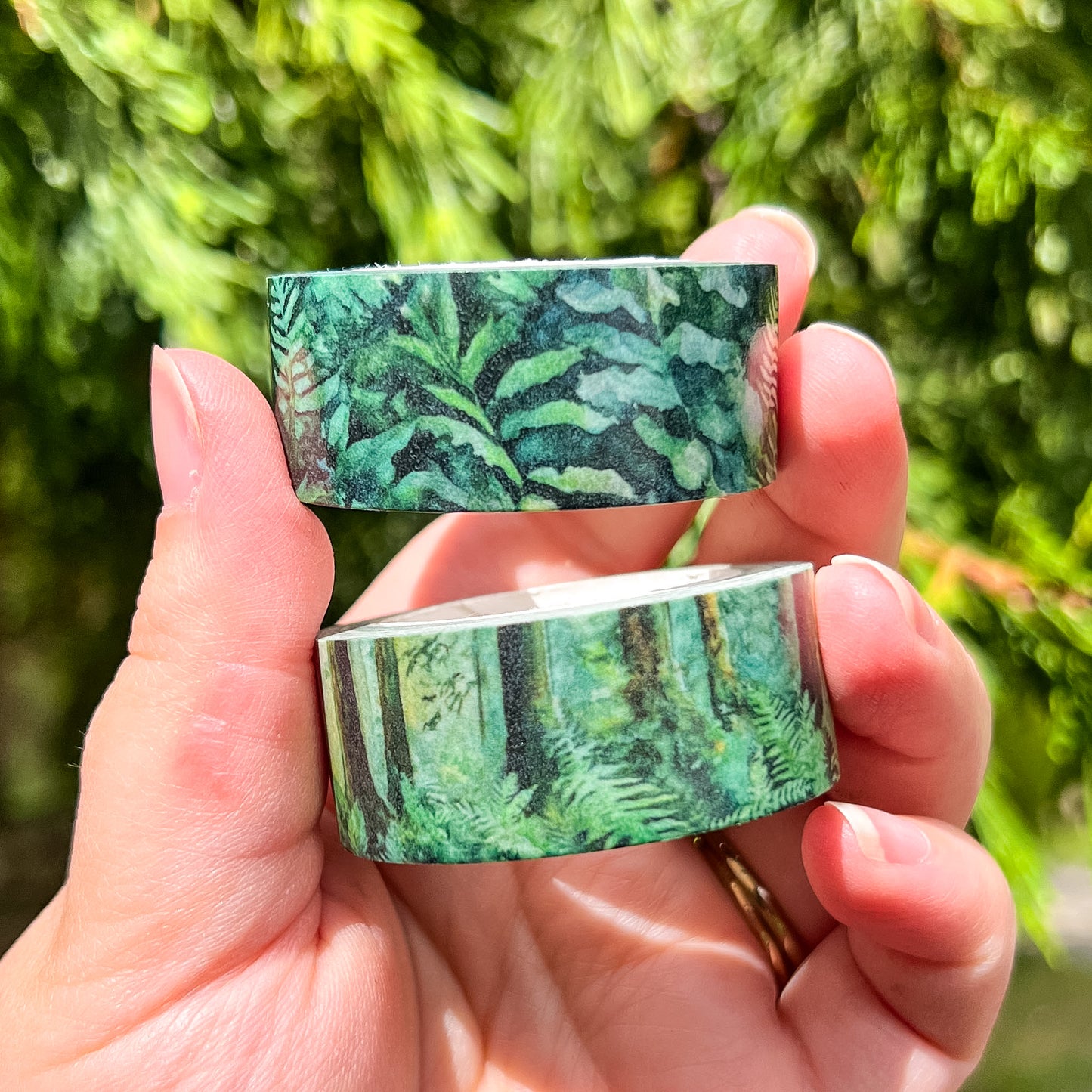 Evergreen Forest & Ferns Set, Premium Washi Tape Rolls Size 2cm Wide by 10m Long