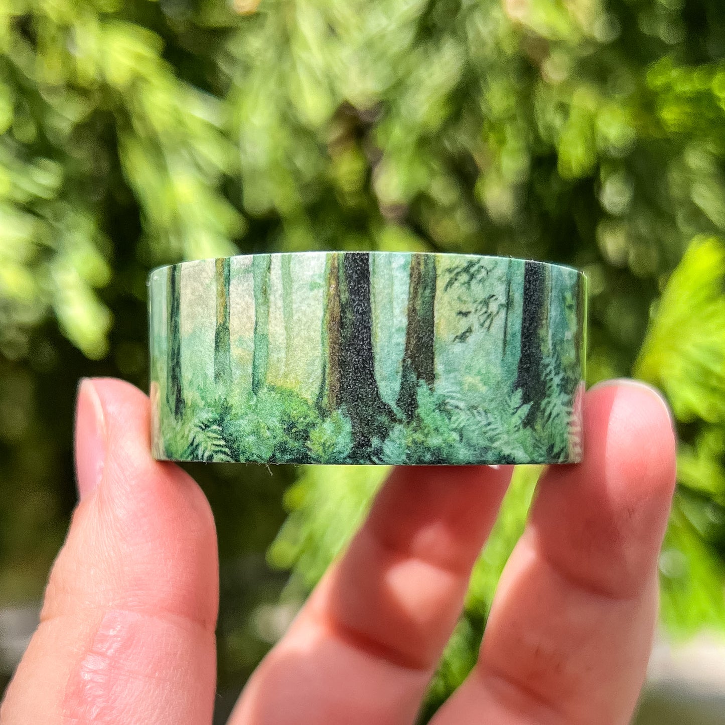 Evergreen Forest & Ferns Set, Premium Washi Tape Rolls Size 2cm Wide by 10m Long