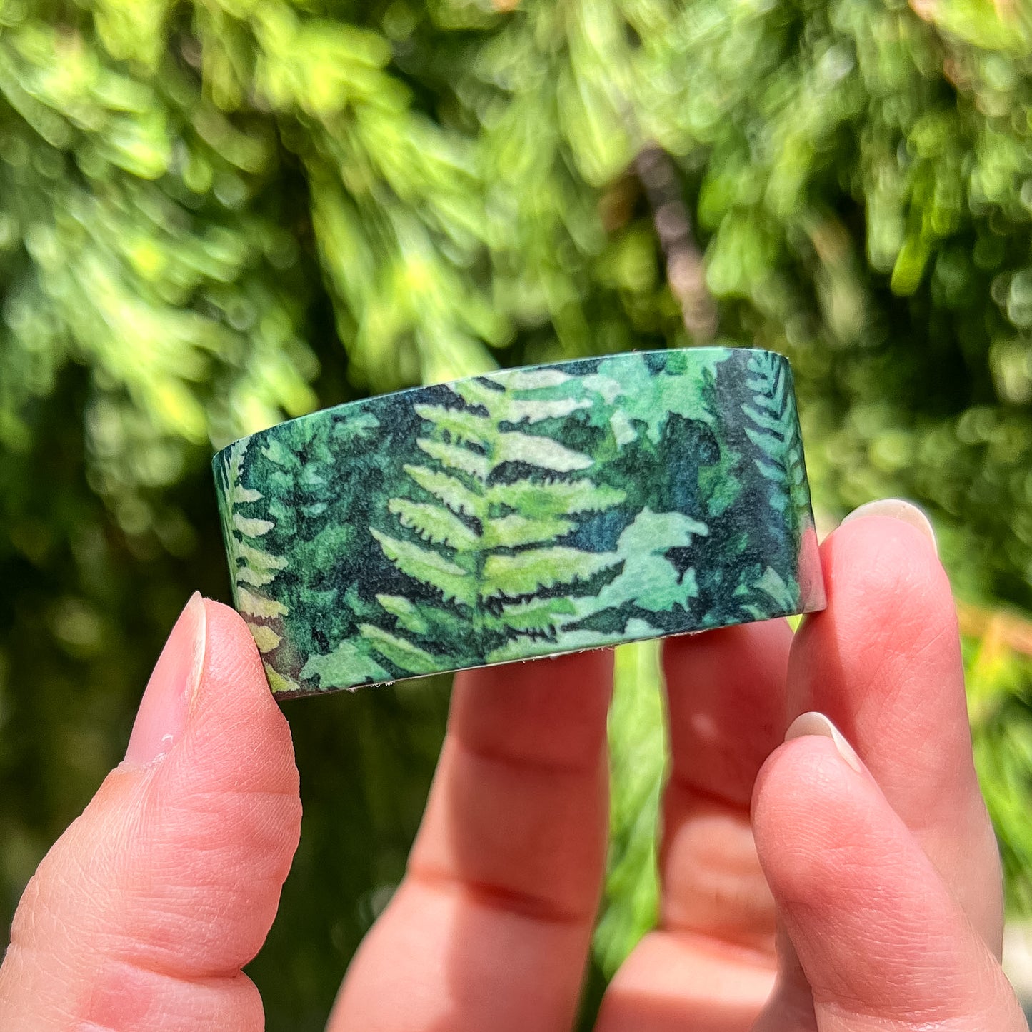 Evergreen Forest & Ferns Set, Premium Washi Tape Rolls Size 2cm Wide by 10m Long