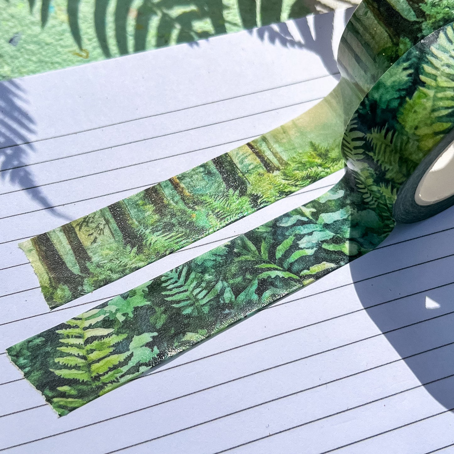 Evergreen Forest & Ferns Set, Premium Washi Tape Rolls Size 2cm Wide by 10m Long