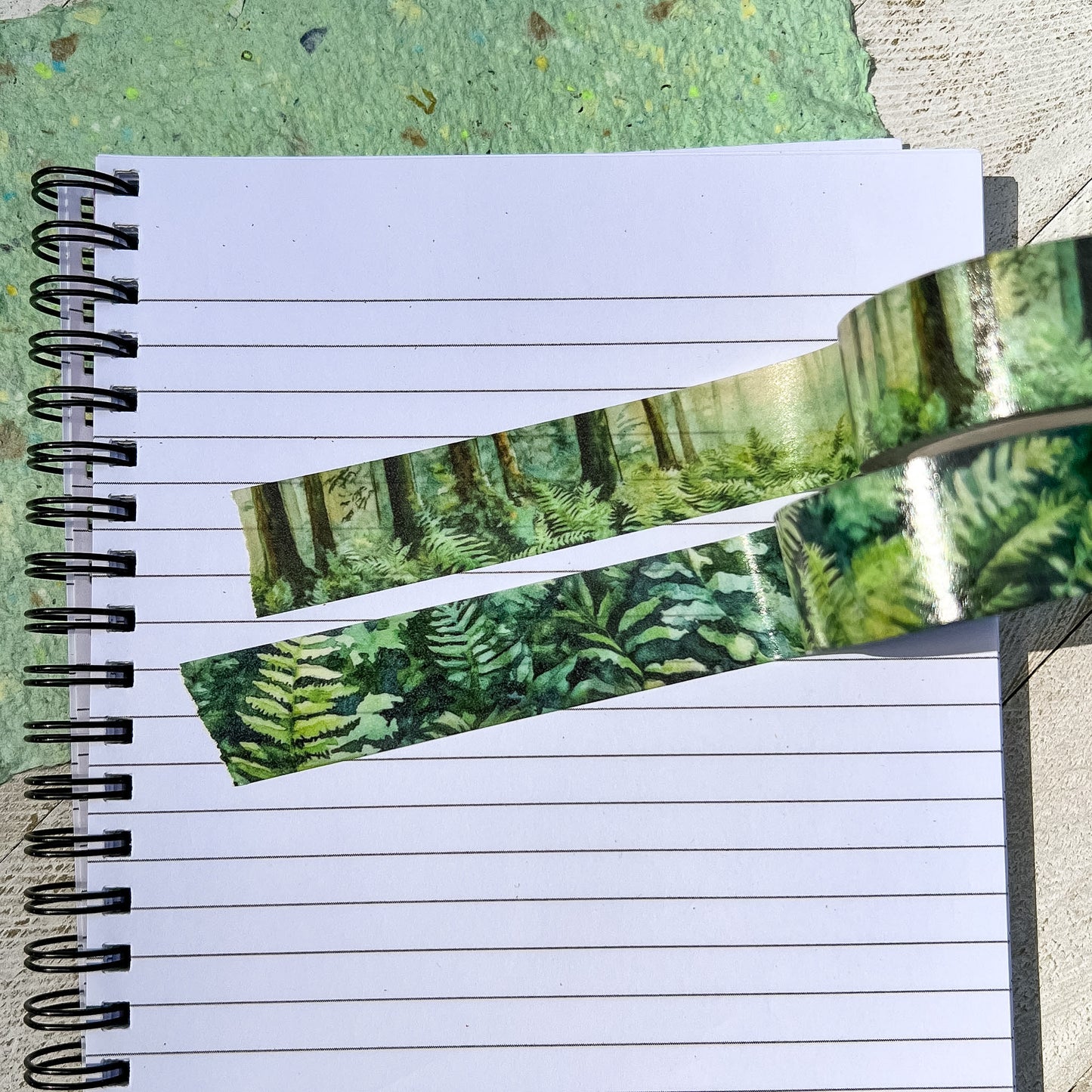 Evergreen Forest & Ferns Set, Premium Washi Tape Rolls Size 2cm Wide by 10m Long