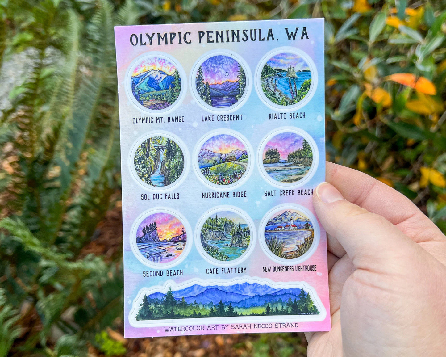 Places Around the Olympic Peninsula, 4"x6" Sticker Sheet with 10 Stickers