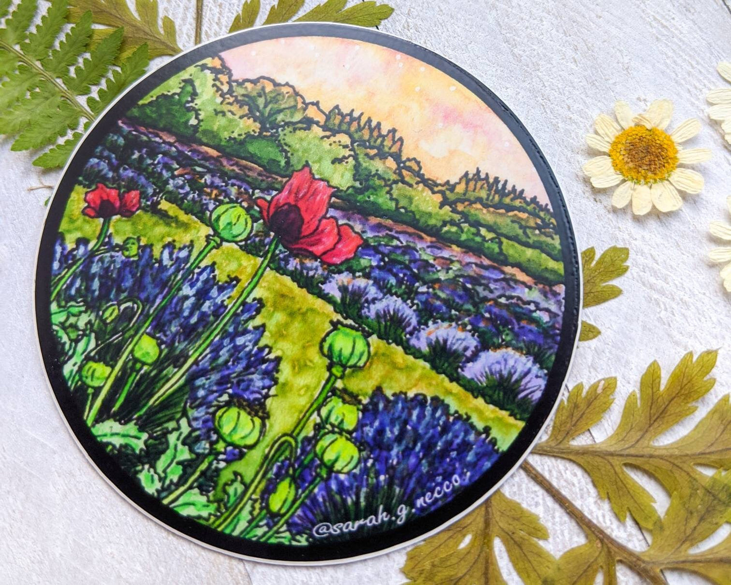 Poppies in the Lavender Field, 3" Circle Vinyl Sticker